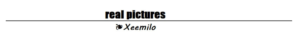 Sexy Irregular Oblique-neck Flower Applique T Shirt Summer Off Shoulder Fashion Long Sleeve Crop Tops Street Mesh Tees